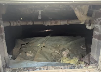 Crawl Space Services (21)