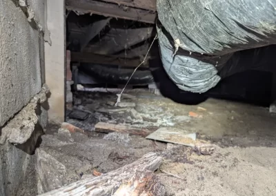 Crawl Space Services (4)