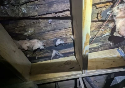 Quality Crawl Space Services