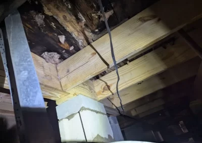 Reliable Crawl Space Services
